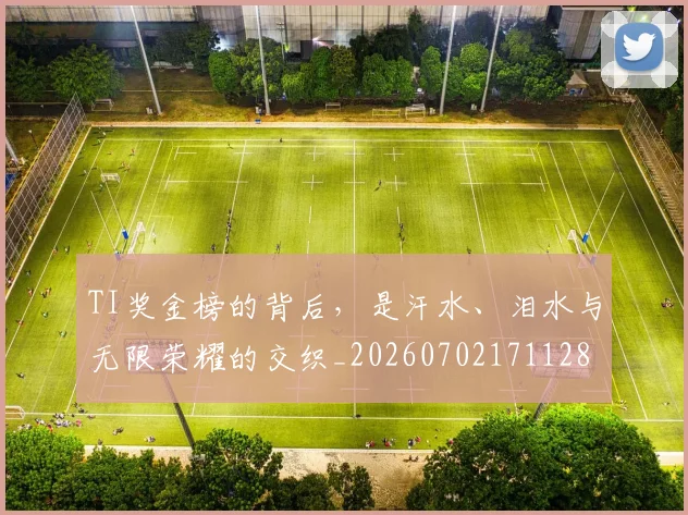 TI奖金榜的背后，是汗水、泪水与无限荣耀的交织_20260702171128