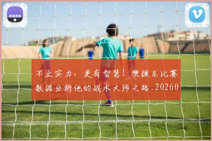 不止实力,更有智慧!樊振东比赛数据分析他的战术大师之路_20260702175031