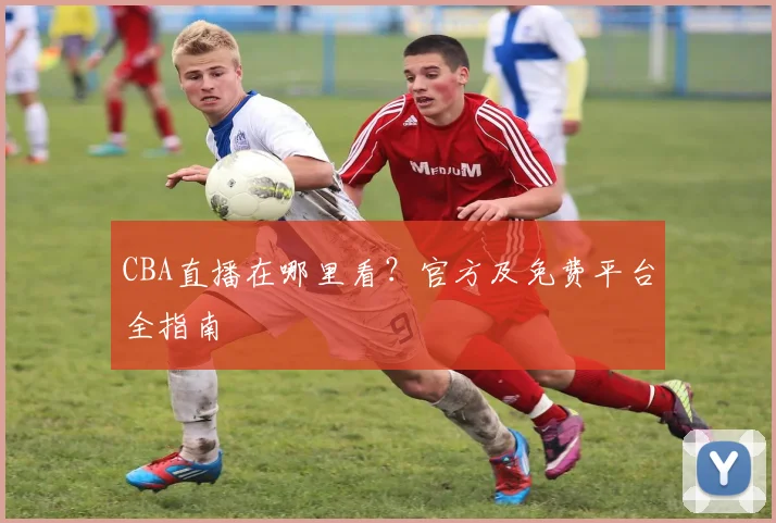 CBA直播在哪里看?官方及免费平台全指南