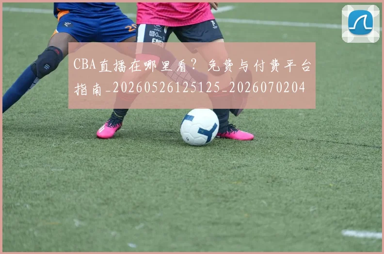 CBA直播在哪里看？免费与付费平台指南_20260526125125_20260702040714
